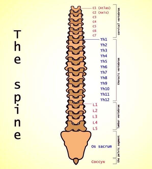 Лумбална остеохондроза